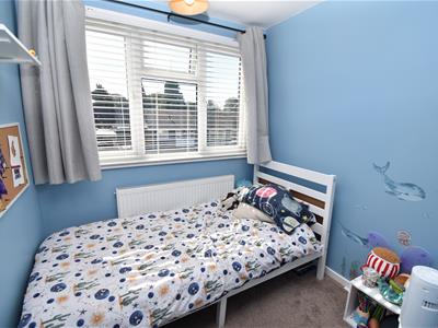 Picture 14